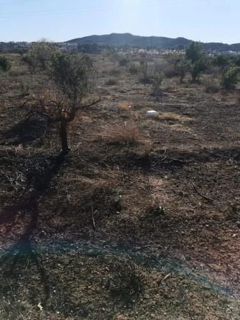 Terreno en Riba-Roja de Túria