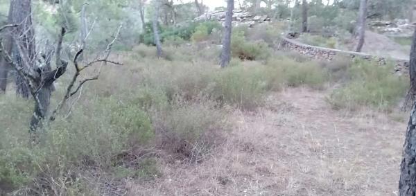 Terreno en calle Pico Portillo, 1