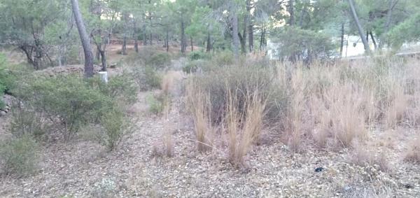 Terreno en calle Pico Portillo, 1