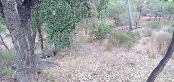 Terreno en calle Pico Portillo, 1