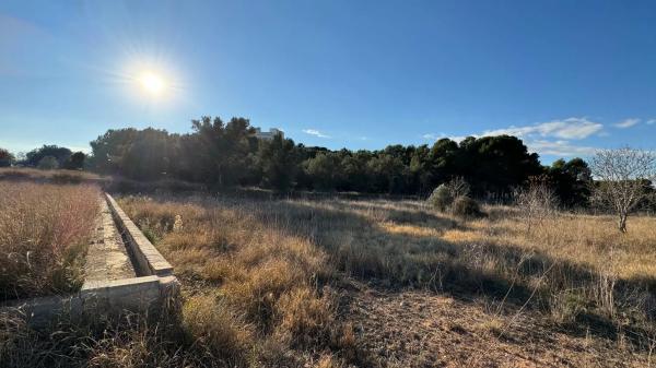 Terreno en poligono 4