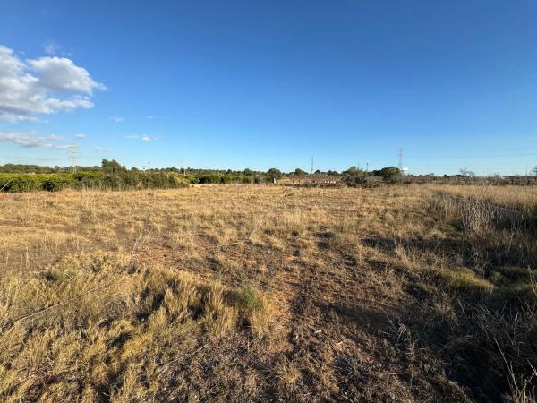 Terreno en poligono 4