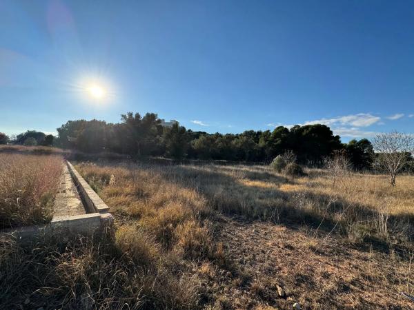 Terreno en poligono 4