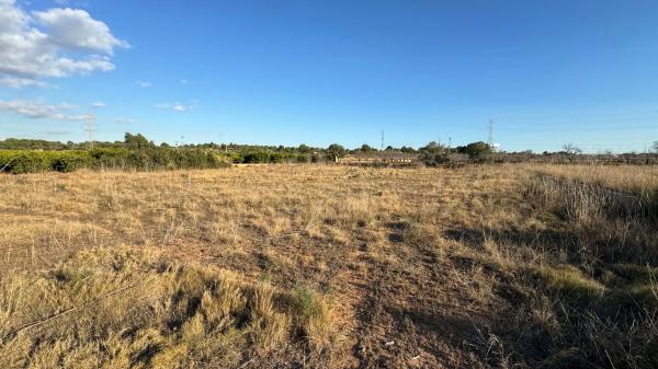Terreno en poligono 4