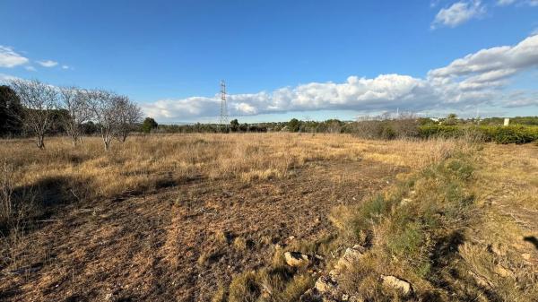 Terreno en poligono 4