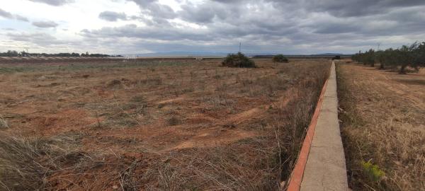 Terreno en La foia de la monja s/n sn