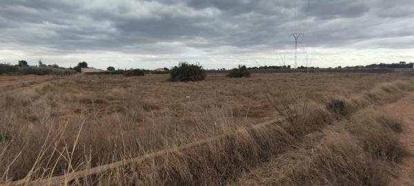 Terreno en La foia de la monja s/n sn
