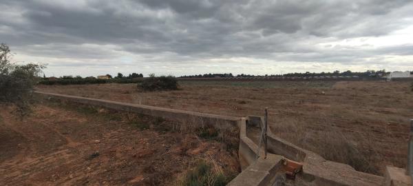 Terreno en La foia de la monja s/n sn