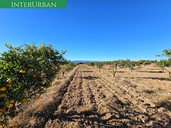 Terreno en Santa Bárbara