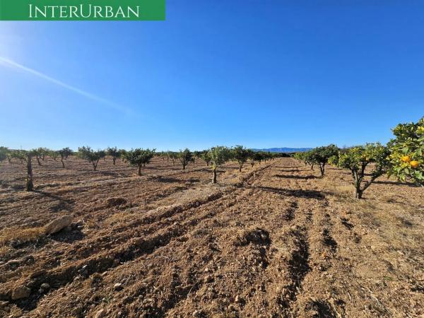 Terreno en Santa Bárbara