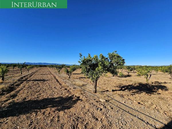 Terreno en Santa Bárbara
