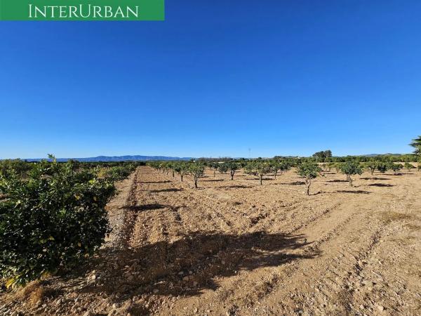 Terreno en Santa Bárbara