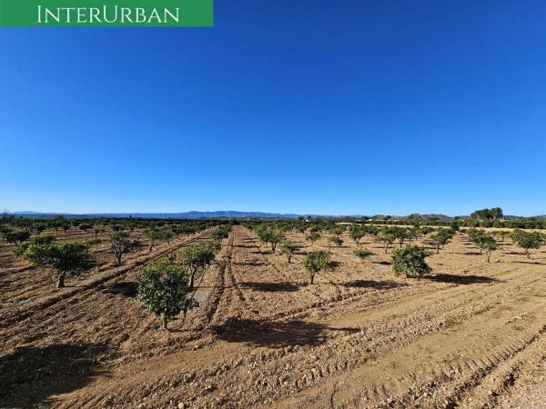 Terreno en Santa Bárbara