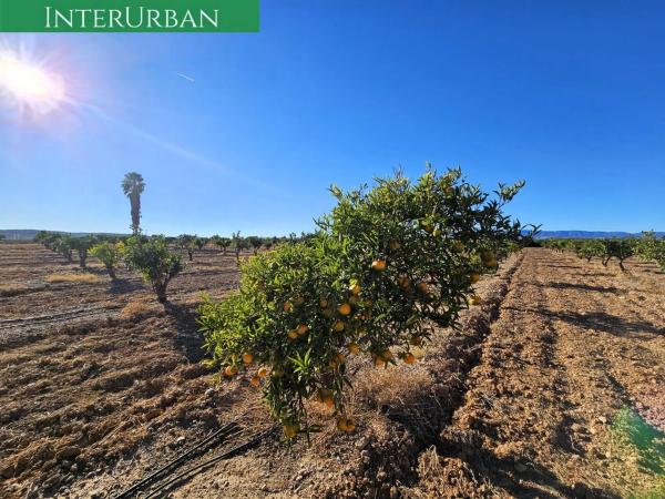 Terreno en Santa Bárbara