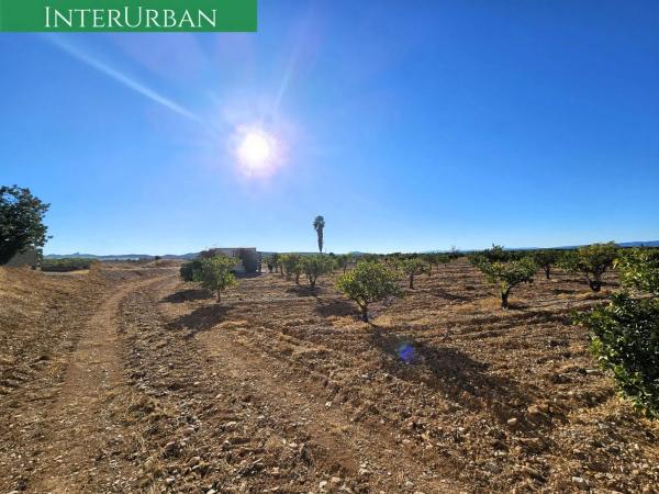 Terreno en Santa Bárbara