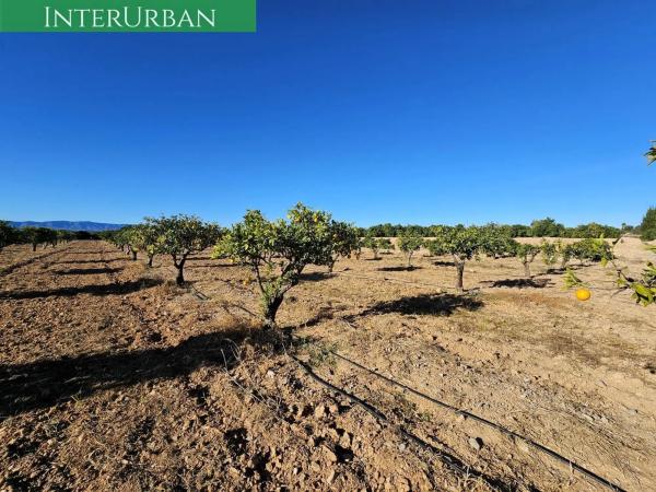 Terreno en Santa Bárbara