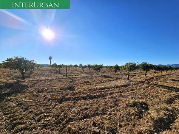 Terreno en Santa Bárbara
