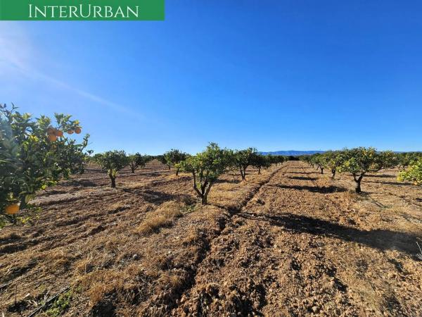 Terreno en Santa Bárbara
