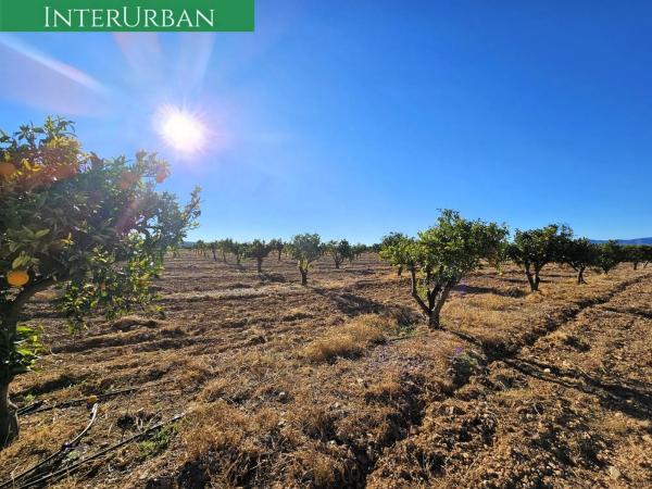Terreno en Santa Bárbara