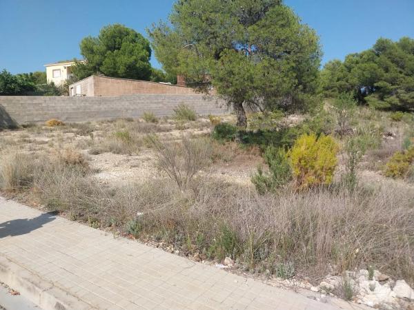 Terreno en calle Oms