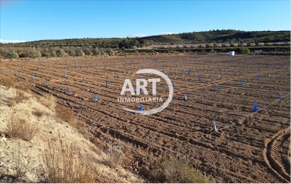 Terreno en Gátova