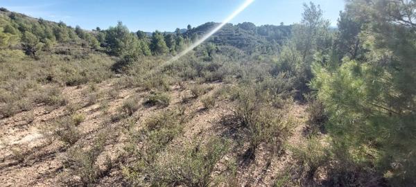 Terreno en Partida del Cabezo, 42