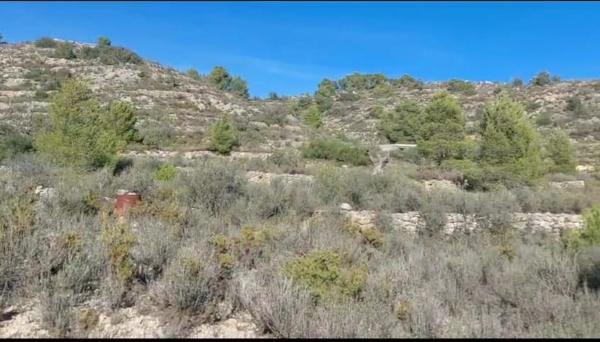 Terreno en Partida del Cabezo, 42