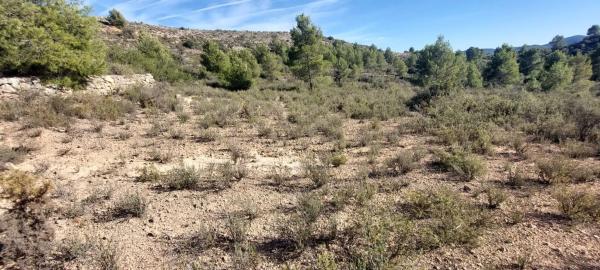 Terreno en Partida del Cabezo, 42