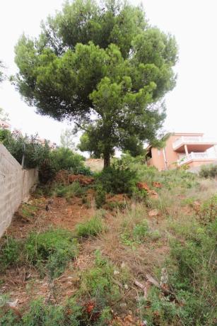 Terreno en calle Burriana, 41