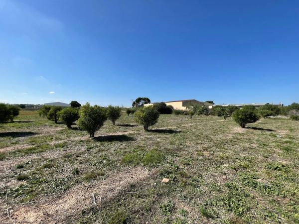 Terreno en plaza Poligono N-47.R, 52