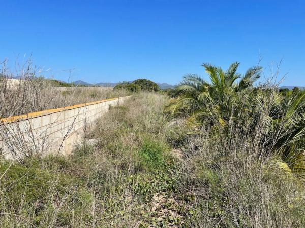 Terreno en plaza Poligono N-47.R, 52