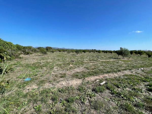 Terreno en plaza Poligono N-47.R, 52