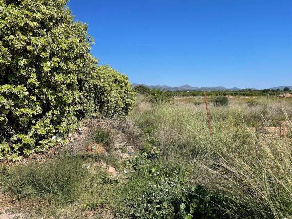 Terreno en plaza Poligono N-47.R, 52