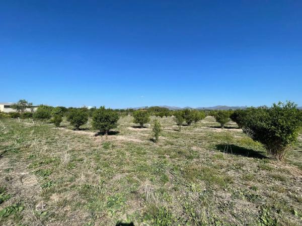 Terreno en plaza Poligono N-47.R, 52