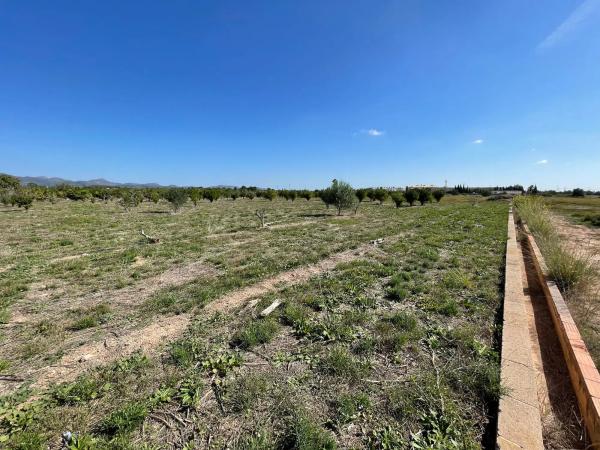 Terreno en plaza Poligono N-47.R, 52