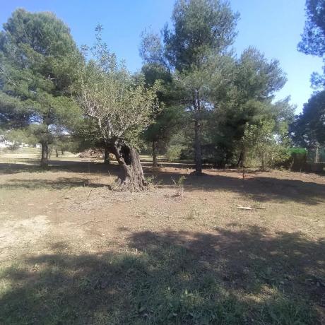 Terreno en San Antonio de Benagéber