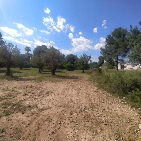 Terreno en San Antonio de Benagéber