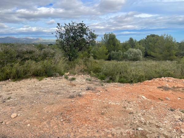 Terreno en Hortolá, 183