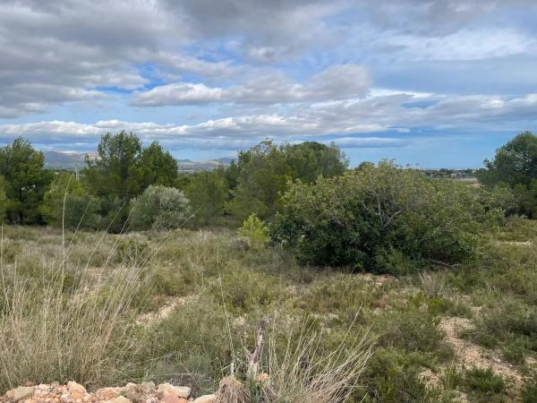 Terreno en Hortolá, 183