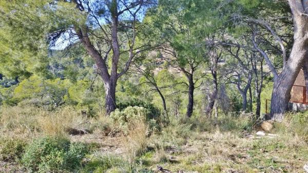 Terreno en calle Santiago, 2