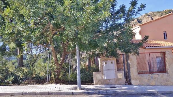 Terreno en calle Santiago, 2