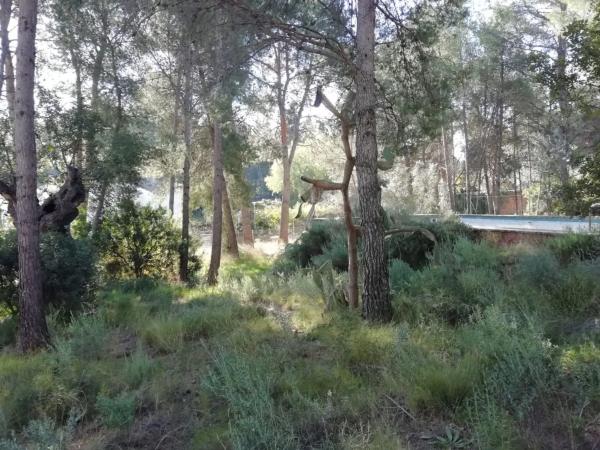 Terreno en calle Nou