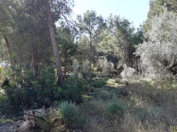 Terreno en calle Nou