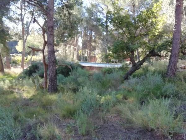 Terreno en calle Nou