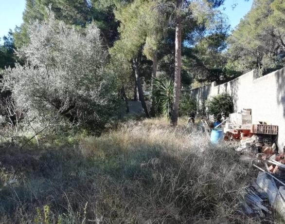 Terreno en calle Nou