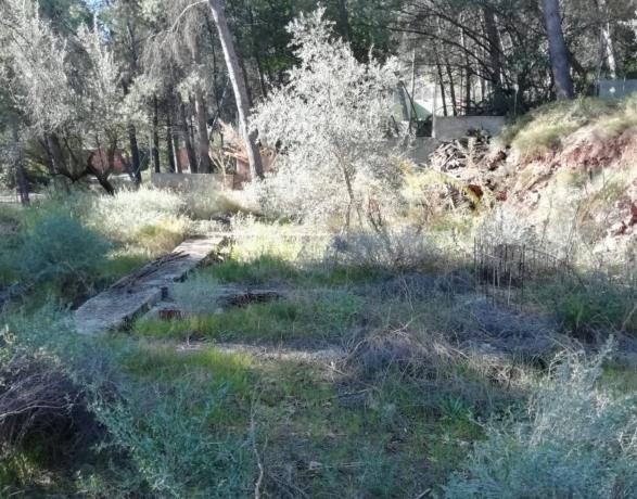 Terreno en calle Nou