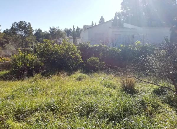 Terreno en calle Nou