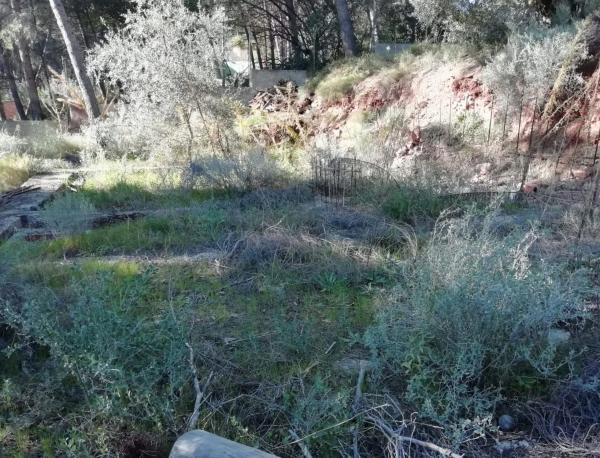 Terreno en calle Nou