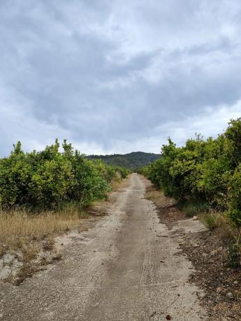 Terreno en Barranc del palmeral s/n