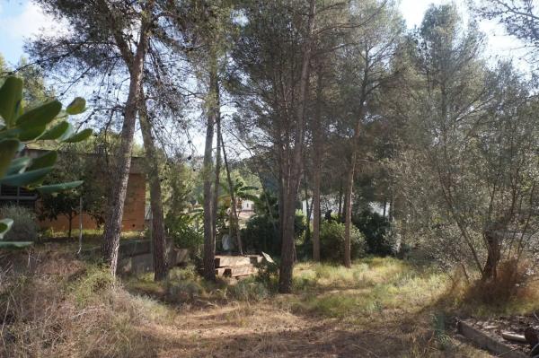 Terreno en Monteamor - La Carrasca - El Peucal